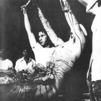 1981_1990\1985.0284p23.jpg; 1985.0284; ;